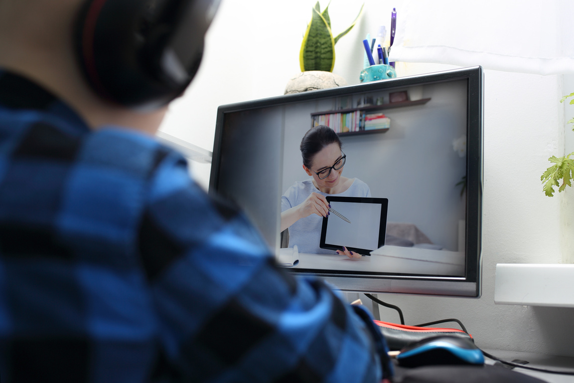 Online lesson. E-learning.